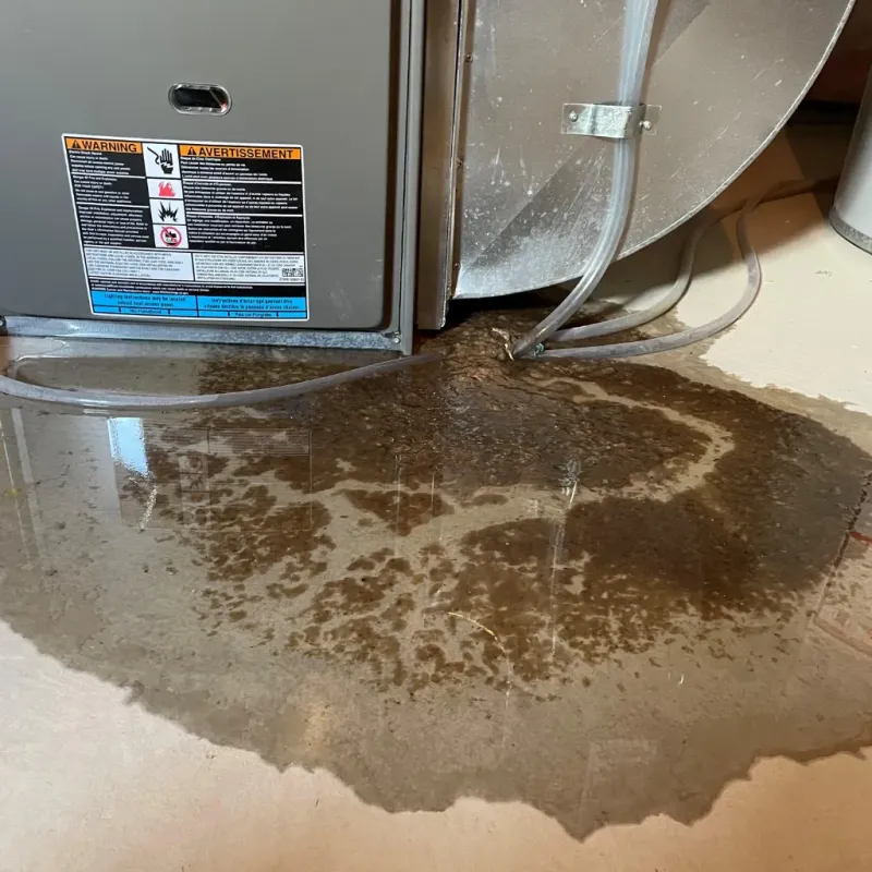 Appliance Leak Cleanup in Waterflow, NM