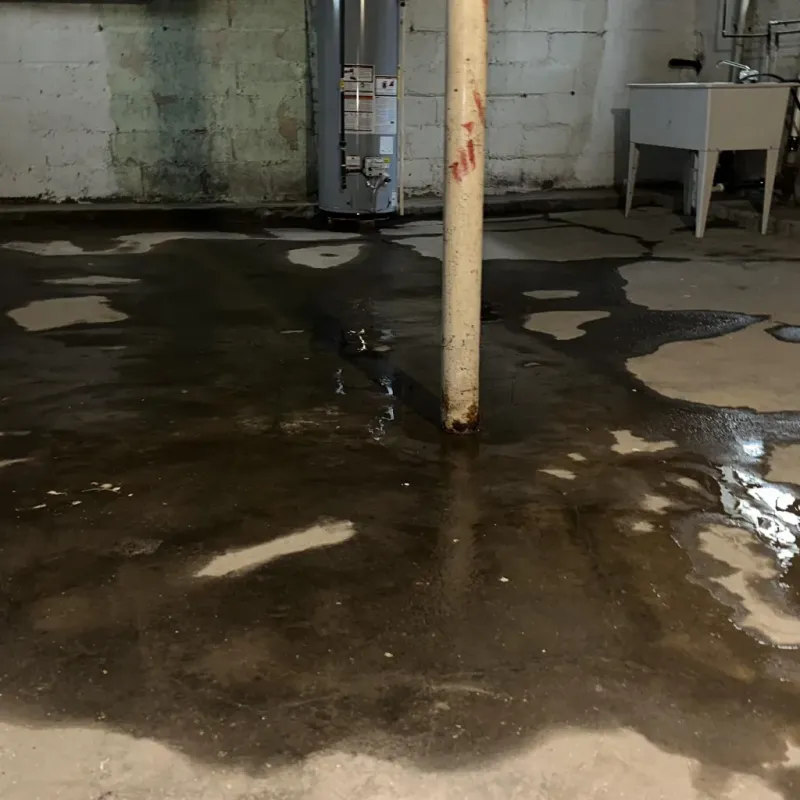 Emergency Water Extraction And Removal in Waterflow, NM